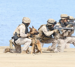 Captura de personal enemigo con perro de ataque por militares del Ejército de Tierra